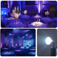 Lot de 20 projecteurs LED Pinspot 10W avec zoom, magnétiques, sans fil DMX, blanc froid et blanc chaud, pour DJ et éclairage de mariage