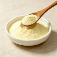 Poudre de jus d'orange naturelle instantanée de qualité supérieure pour boisson, poudre de fruits séchés par pulvérisation