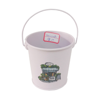 Seau en fer galvanisé petit seau décoratif coloré pot de fleur en métal autocollant maison jardin intérieur pot de plante avec poignée