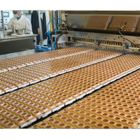Fabricación de línea de producción de dulces blandos vitamina Gummy Bear depositador máquina para hacer dulces