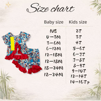 DH ODM Boutique Retro Patriottische Eendjesprint Meisjes Kledingset Elastische Bamboe Geruite Pyjama's voor de Amerikaanse en Australische Markt