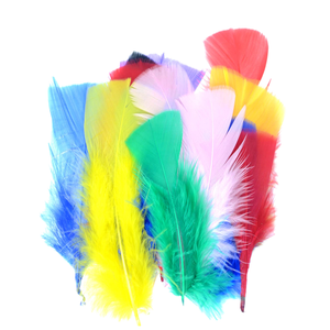 Plumes d'autruche colorées teintées sur mesure en gros pour artisanat, idéales pour fêtes, mariages, décoration intérieure – Promotion à prix abordable - Product Image 1