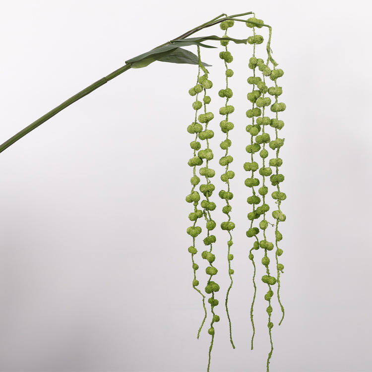 Green 6-branch love fruit