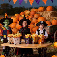 Boîtes et seaux à popcorn d'Halloween en forme d'avion – Emballage jetable écologique pour collations et friandises de fête