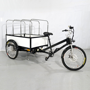 รถสามล้อบรรทุกแบบเปิดใหม่ ปี <span class=keywords><strong>2023</strong></span>, รถสามล้อบรรทุกไฟฟ้า - Product Image 3
