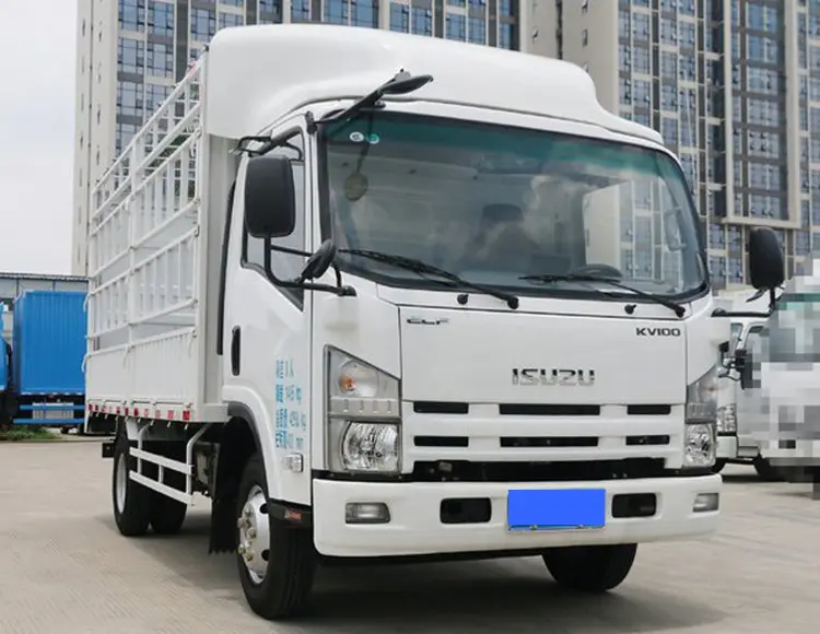 Isuzu elf NKR 4 ton di verdure di trasporto camion