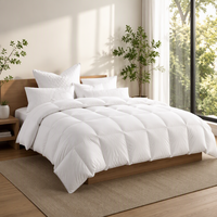 Nouvelle conception de couette en duvet de plumes de canard et d'oie blanches, matelassée, confortable pour toutes les saisons