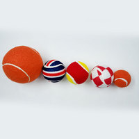En gros personnalisé imprimé plage de tennis jouets pour animaux chien balle de tennis interactive ballon d'entraînement