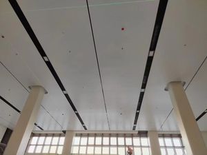 แผงเพดานรังผึ้งรังผึ้งอลูมิเนียมน้ำหนักเบาออกแบบทันสมัยกันความชื้นและทนไฟมีการรับรอง A1 - Product Image 3