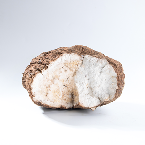 โรงงานผลิตอาหารเสริมโพเรียโคโคส ปราศจากกำมะถัน  จำหน่ายโพเรียโคโคส  น้ำโพเรียโคโคส  ฟู่หลิง ปราศจากกำมะถัน  โพเรียโคโคส ทัคคาโฮ - Product Image 3