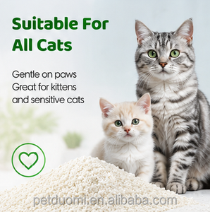 Litière pour chat en tapioca de qualité supérieure, écologique, sans poussière, sable naturel pour chat, fabricant OEM ODM - Product Image 2