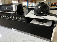 Cuisine extérieure moderne en acier inoxydable avec armoire BBQ, portes vitrées, évier, charnières, tiroir, panier, robinet - Conception modulaire pour appartement