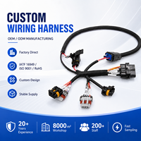 Harness Kabel Mesin Otomotif Mobil Kustom ISO9001 Sampel Tersedia