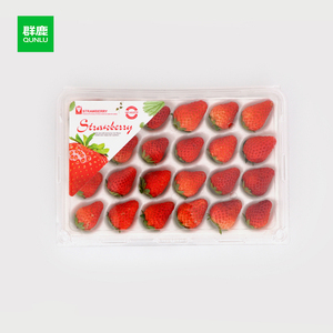 Bandeja de plástico transparente desechable <span class=keywords><strong>para</strong></span> fresas Caja de exhibición de embalaje de concha de 24 celdas <span class=keywords><strong>para</strong></span> <span class=keywords><strong>frutas</strong></span> de granja - Product Image 4