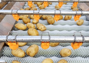 Lavadora de Frutas y Verduras de Alta Presión con Rodillo de Cepillado y Pulverización, Acero Inoxidable 304, 220/380V, Modelo LG-BCL4000 - Product Image 3