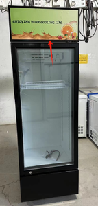 Refrigerador Solar de Energía Verde para Uso Doméstico, Congelador Vertical, Vitrina, Disponible en 198L, 208L, 358L, Refrigerador Solar BD198 - Product Image 3