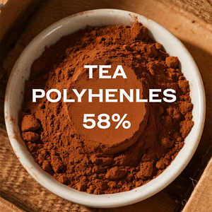 Bubuk EGCG alami ekstrak teh hijau dekoder bubuk kafein <span class=keywords><strong>50</strong></span>% EGCG teh polifenol - Product Image 6