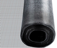 Moustiquaire de fenêtre moderne en fibre de verre, respirante, résistante aux UV et à la corrosion, anti-déchirure, en rouleau pour fenêtres et portes