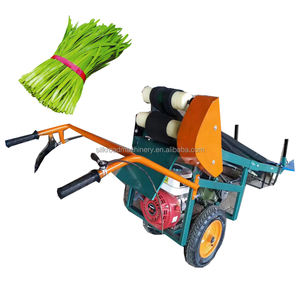 Cortadora de <span class=keywords><strong>Perejil</strong></span>, Cebolletas, <span class=keywords><strong>Perejil</strong></span>, <span class=keywords><strong>Apio</strong></span>, Puerros, Lechuga, Cosechadora - Product Image 6