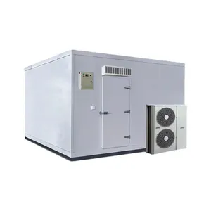 Walk Freezer Solar Cold Room Storage Cool Room Panels