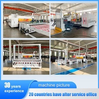 Nueva Aspiradora Automática Oray-jumbo para Impresora, 300 Piezas/min, Compatible con Cartón Grande de 3 Capas, Importada