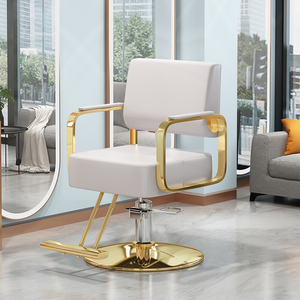 Silla de peluquería, silla para estilizar el cabello para salones de belleza. El mismo modelo que se puede ajustar en altura. Silla de salón de acero inoxidable. - Product Image 2