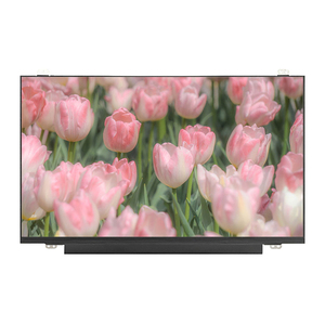 Pantalla LCD TFT Industrial de 13.9 Pulgadas, 1366×768 LVDS, Brillo de 250 Nits - Product Image 3