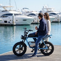 Bicicleta Eléctrica Todoterreno con Llantas Anchas y Batería Extraíble, Bicicleta Eléctrica Vintage de Doble Asiento para Senderos de Montaña y Caminos de Tierra