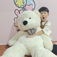 Peluche Ours en Gros Housse Peluche Animal 1m Cadeau Idéal Fille Logo Personnalisé