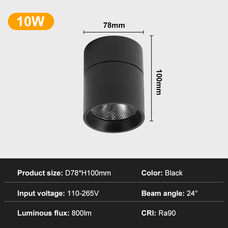 BLACK-10W