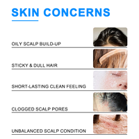 Shampooing OEM à Marque Blanche Anti-Pelliculaire, Contrôle du Sébum, Éclaircissant et Lissant, à l'Huile d'Arbre à Thé et à l'Acide Salicylique pour Cheveux Gras