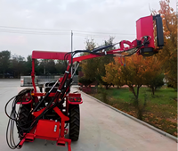 Mini-tondeuse à fléaux/tondeuse à gazon pour arbres et bandes vertes, modèle cantilever, pour tracteurs chinois