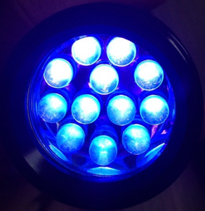 380nm chữa bệnh ngọn đuốc chiếu sáng nhôm 12 bóng đèn UV đèn flash ánh sáng đèn pin UV LED Torch Đèn pin uv ngọn đuốc - Product Image 1