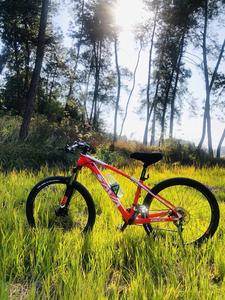 2024 <span class=keywords><strong>SAVA</strong></span> dika bicicleta de montaña 27 velocidades cuadro de fibra de carbono bicicleta de carreras para adultos - Product Image 6