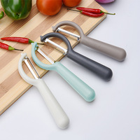 Nieuwe design plastic schilmes van topkwaliteit, roestvrijstalen groente- en fruitschiller met PP-handvat, keukengereedschap