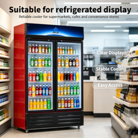 Réfrigérateur vertical commercial à température unique pour boissons, avec commande mécanique et 2 portes, pour les magasins et les supermarchés