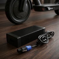 Chargeur rapide professionnel 12,6 V pour stations d'alimentation et équipements extérieurs, chargeur de batterie Li-ion 12,6 V 16 A