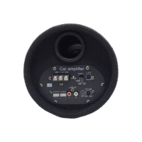 Caisson de basses actif pour voiture de taille personnalisée 700w Peak, caisson de basses de 5, 6, 8, 10 pouces pour système audio de voiture