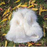 Gilet en fourrure imprimé léopard pour l'automne et l'hiver avec robe-camisole, ensemble de base, vêtements originaux pour animaux de compagnie, manteau pour chats et chiens