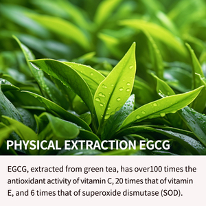 สารสกัดชาเขียวต้าหมิงถัง 200 เม็ด 90 กรัม อาหารเสริม EGCG ธรรมชาติ - Product Image 4