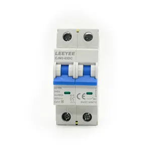 LEEYEE MCB CE Certified C Type 6ka CJM2-63DC 2P 50/60Hz Smart Home Momentary Circuit Breaker