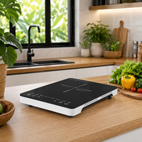 Cuisinière à induction portable 2000W, 8 modes de cuisson, minuteur 3H, plaque de cuisson électrique pour distributeur en gros