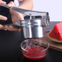 Roestvrijstalen Aardappelrijder Handmatige Stamper Voor Aardappelgroenten Babyvoeding 3 Verwisselbare Schijven Voor Fijn Medium Grof