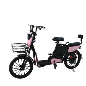Batería de 20 pulgadas 48V <span class=keywords><strong>bicicleta</strong></span> eléctrica de entrega 500W asiento trasero derecho caja de entrega simple <span class=keywords><strong>bicicleta</strong></span> eléctrica para adultos motocicleta - Product Image 4