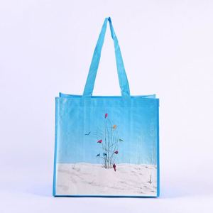 กระเป๋าผ้า PP ขายส่ง พิมพ์สีเต็มรูปแบบ โลโก้สั่งทำเคลือบลามิเนต กระเป๋าช้อปปิ้ง PP เป็นมิตรกับสิ่งแวดล้อม - Product Image 1