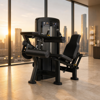 Machine professionnelle de musculation pour exercices de flexion et extension des jambes, avec assise en acier, à charge libre, pour usage commercial en salle de sport