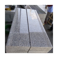 G602 Treppenstufe und Auftritt aus Grauem Granit