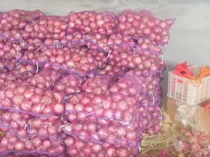 Fresh Myanmar Fresh Onion Red Onion Price Per Ton For Exporting