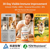 Tablet Multidimensi Pendukung Kekebalan Tubuh Anjing dengan Vitamin D3 Penyerapan Cepat untuk Perawatan Kesehatan Hewan Peliharaan