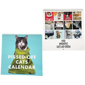 2026 Pissed-Off Cats admite decoraciones de escritorio personalizadas para personalizar calendarios - Product Image 5